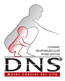 DNS_logo